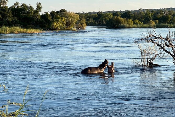Chobe Day Trip from Victoria Falls - What the schedule feels like in real time