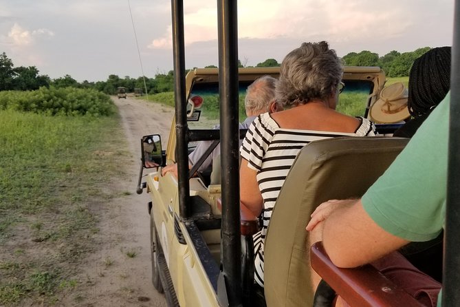 Chobe Day Trip from Victoria Falls, Zimbabwe - Chobe National Park game drive: big-vehicle time, best seating habits