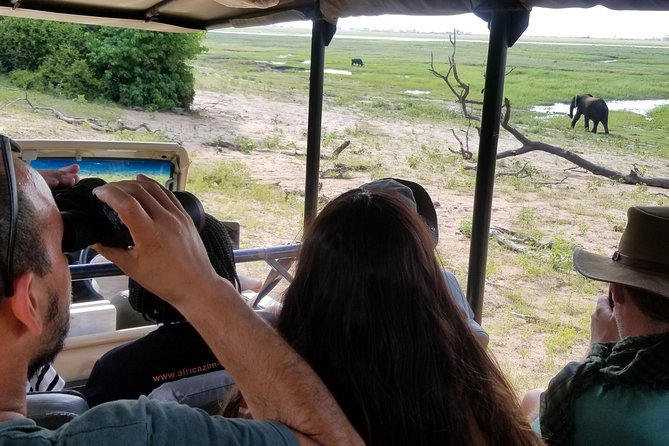 Chobe Day Trip from Victoria Falls, Zimbabwe - How much it costs and whether it is good value at $170