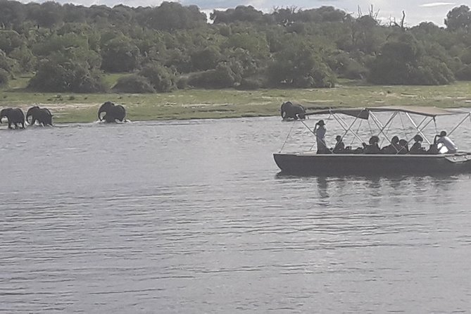 Chobe Day Trip Starting From Victoria Falls - Weather, Wildlife Variability, and Real Expectations