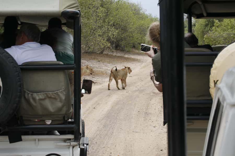 Chobe Extended Day Trip - Key Things to Know Before You Go