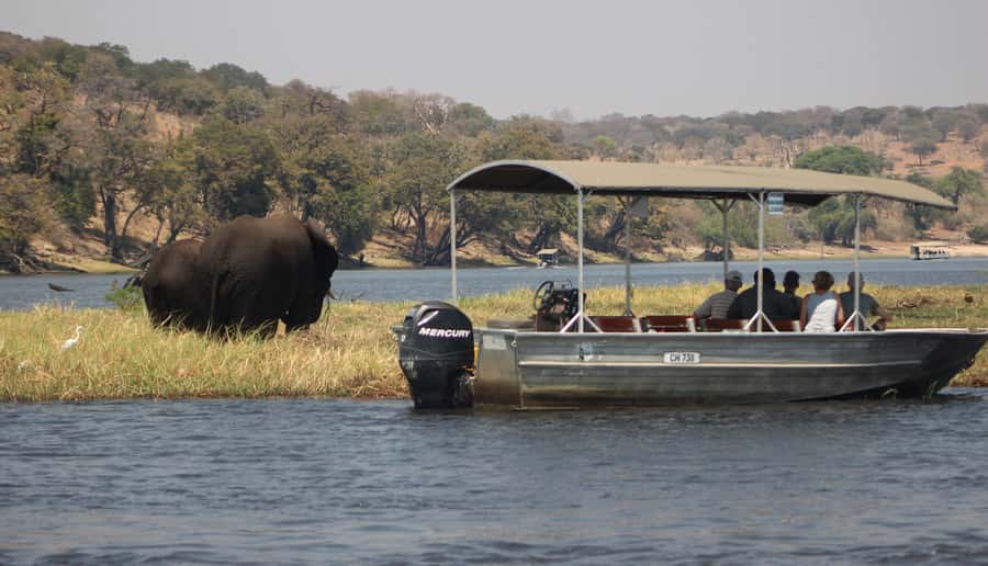 Chobe Extended Day Trip - Lunch at Chobe Safari Lodge Around Noon, Plus a Quiet Reset Break