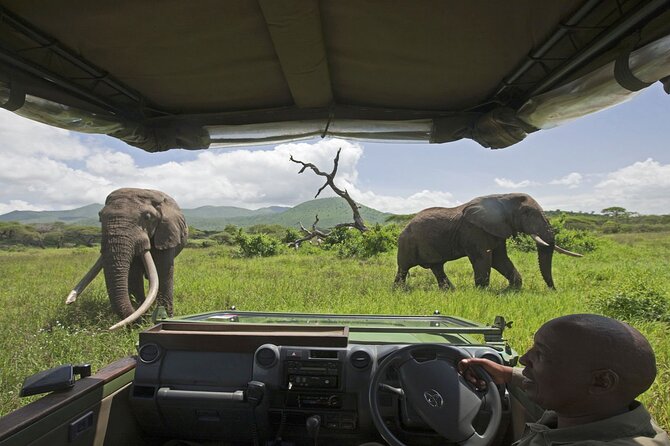 Chobe Extended Day Trip from Victoria Falls - Small Group - The Big Picture: Land Safari Plus Chobe River Sunset