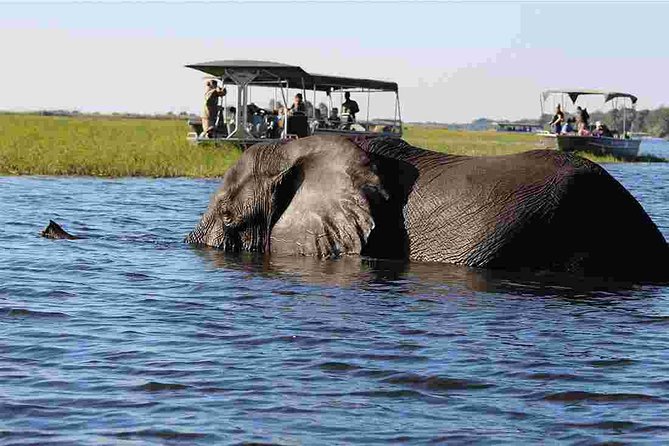 Chobe Extended Day Trip from Victoria Falls - Zimbabwe - How this 15-hour Chobe day trip really plays out