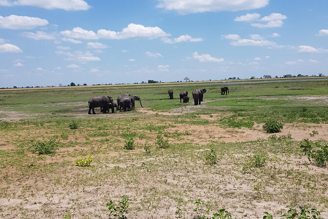 Chobe Full Day Safari in Chobe - Key things that make this Chobe day feel worth it