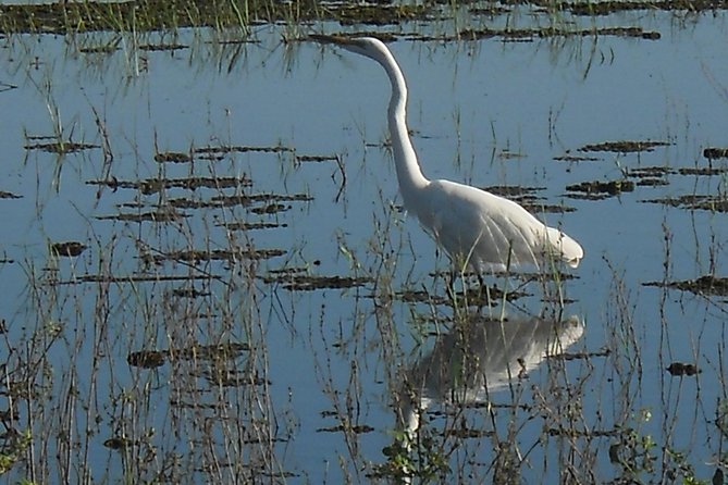 Chobe Full Day Safari Trip - Who this Chobe full day safari suits best