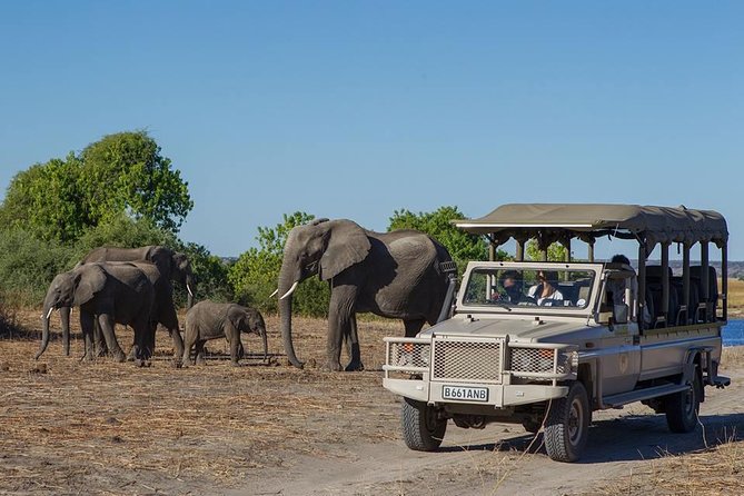 Chobe Full day Safari with Victoria falls Sunrise Tour Combo - Key Things to Know Before You Go