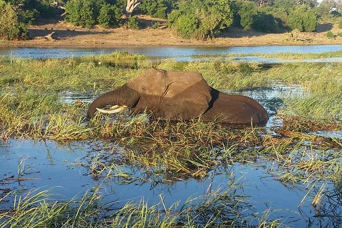 Chobe Full day Safari with Victoria falls Sunrise Tour Combo - Price and fees: what the $230 covers, and what adds up