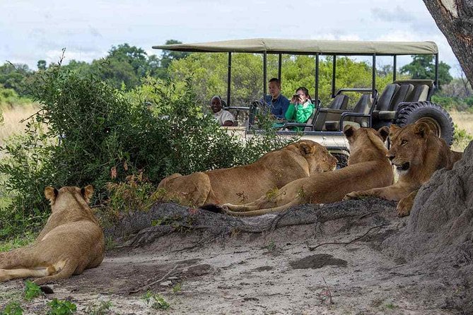 Chobe Full Day Trip From Victoria Falls - Key highlights worth your time