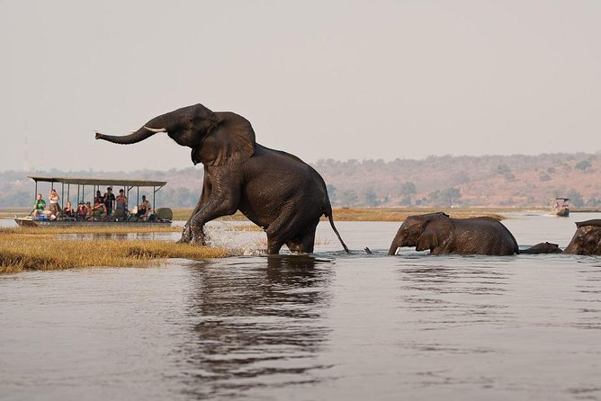 Chobe Full Day Trip From Victoria Falls - Why this Chobe day trip works from Victoria Falls