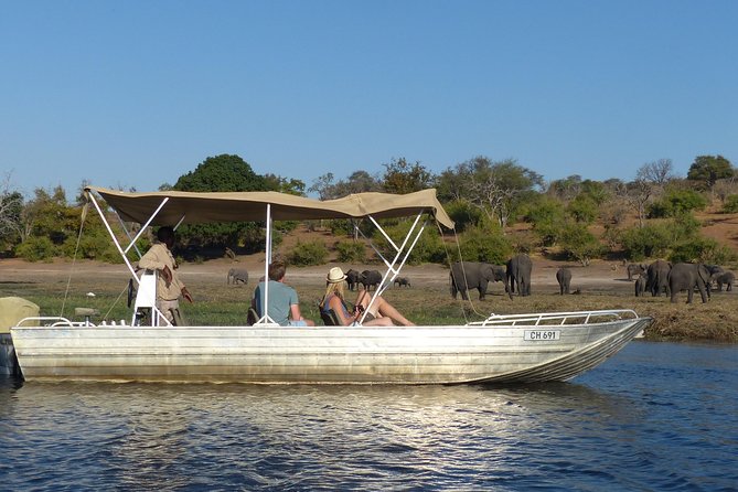 Chobe Full Day Trip From Victoria Falls - Meeting point and timing: the 7:00 am reality check