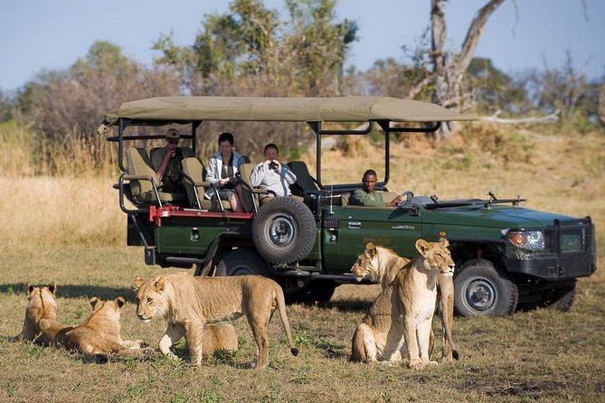 Chobe Full Day Trip From Victoria Falls - Chobe River boat cruise: where the action gets close