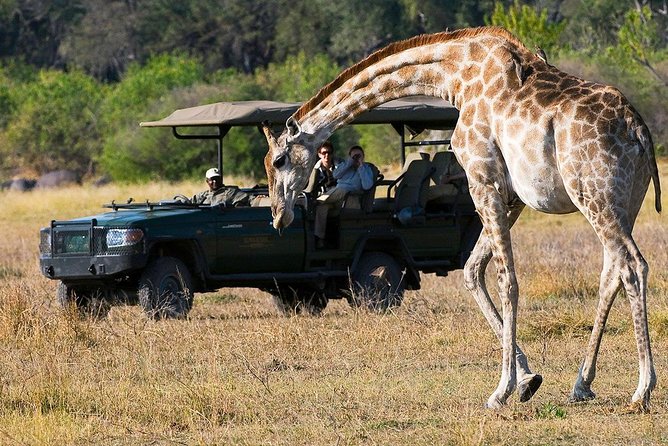 Chobe Full Day Trip From Victoria Falls - Group size and shared transfers: how to stay comfortable