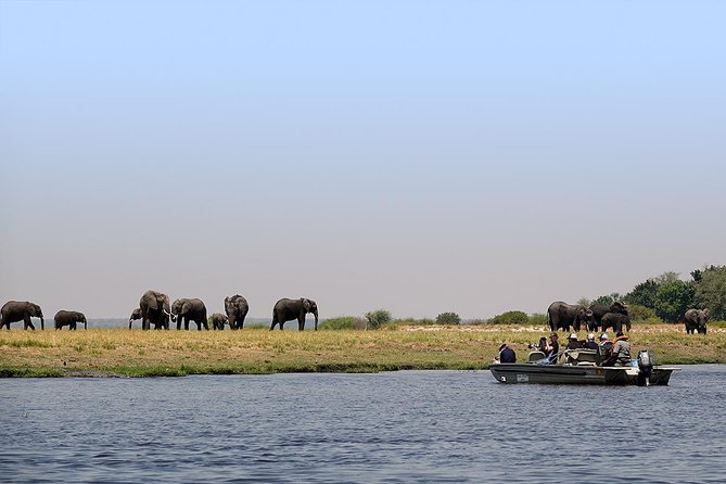 Chobe Full Day Trip From Victoria Falls - Price and value: what you actually pay for