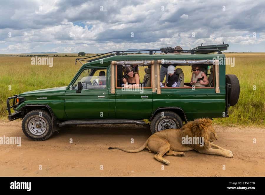 Chobe Half Day Trip from Victoria Falls - A half-day safari with border timing, and why it matters