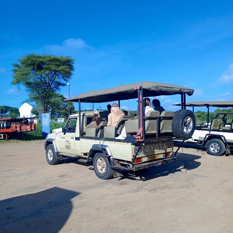 Chobe Half Day Trip from Victoria Falls - Price and value: what $115 buys you, and what it doesn’t