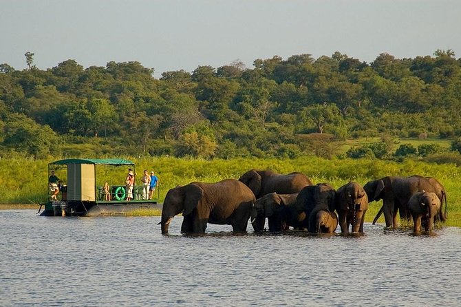 Chobe National Park 4X4 Day Safari and River Cruise - Why Chobe Works So Well on a One-Day Trip