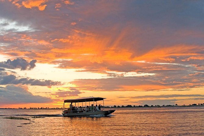 Chobe National Park 4X4 Day Safari and River Cruise - What You Get for $225, and When It Feels Like Value