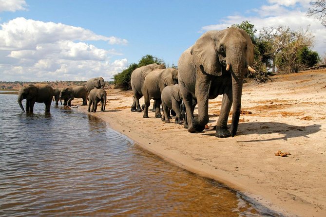 Chobe National Park 4X4 Day Safari and River Cruise - What to Pack for a Chobe Day (So You Are Comfortable)