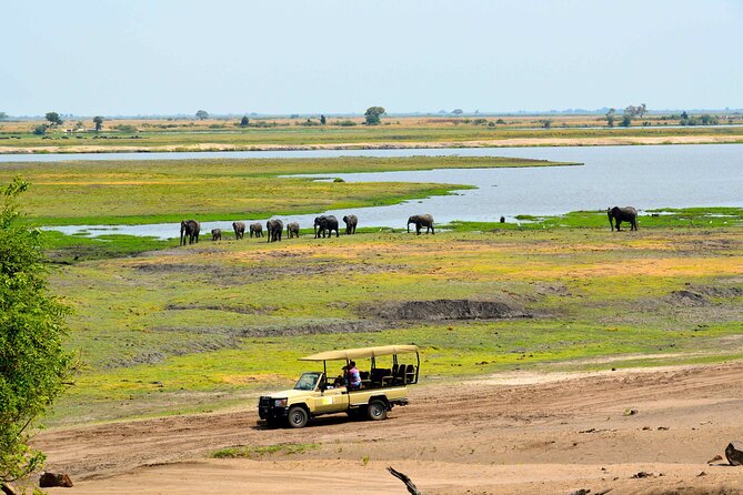 Chobe National Park Day Trip from Victoria Falls with Lunch - Why a Chobe day trip from Victoria Falls is such a smart use of time