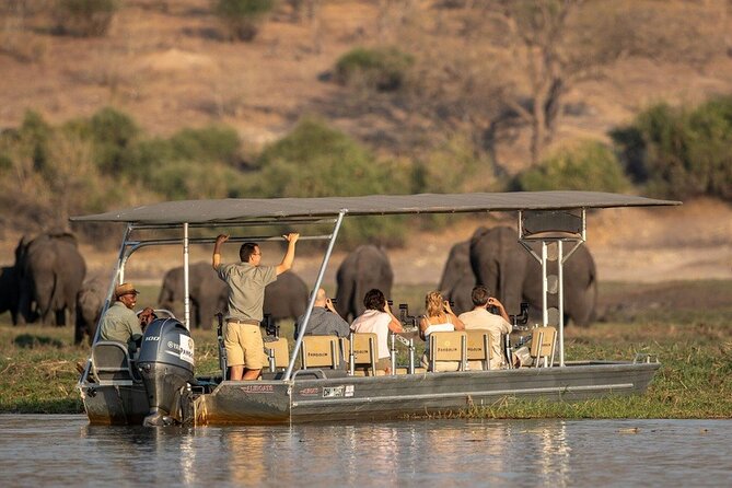 Chobe National Park Day Trip from Victoria Falls with Lunch - Chobe River boat cruise: where the wildlife comes to you