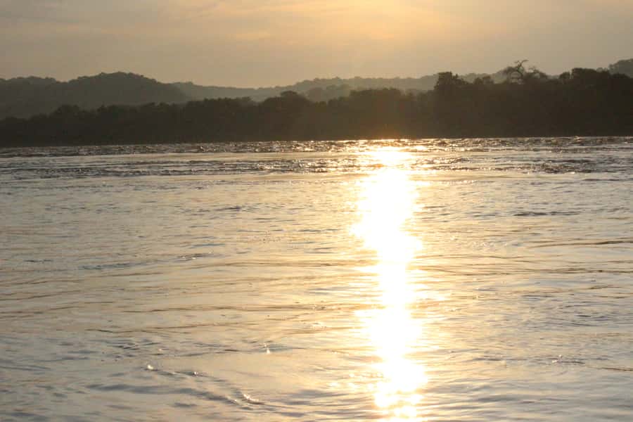 Chobe National Park: Game Drive, Boat Tour, and Lunch - Packing and readiness tips that actually matter for this Chobe day