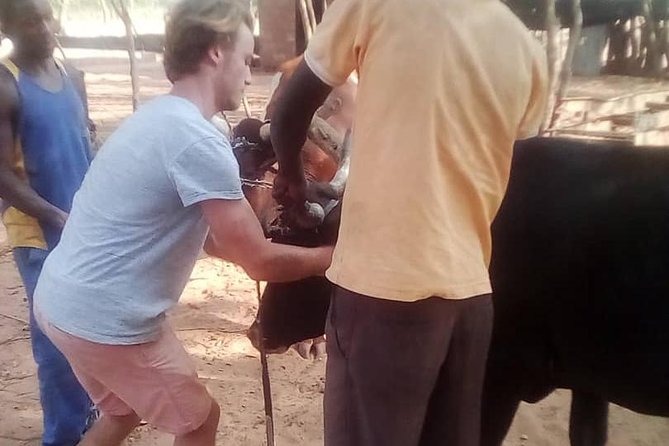 Cultural Village Tour,Interacting With the Communal Villagers (Educational Trip) - Ceremonies and marriage: understanding meaning, not just watching