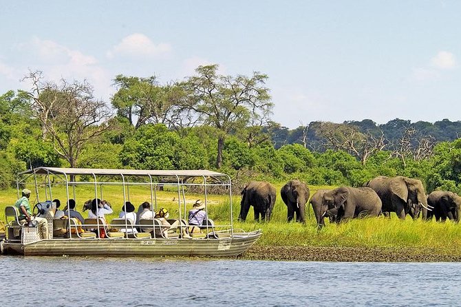 Explore Chobe National Park With a Day Trip from Victoria Falls - One day, two safari styles in Chobe National Park