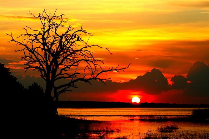 Explore Chobe National Park With a Day Trip from Victoria Falls - Price and park fees, what you are really paying for