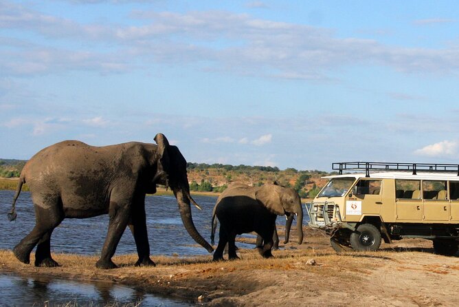 Explore Chobe National Park With a Day Trip from Victoria Falls - The guide and how to get more from each hour