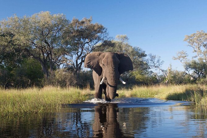 Explore Chobe National Park With a Day Trip from Victoria Falls - Packing and mindset tips that actually help