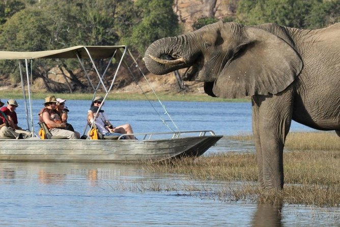 Explore Chobe National Park With a Day Trip from Victoria Falls - Morning Chobe River cruise, where elephants and hippos show up