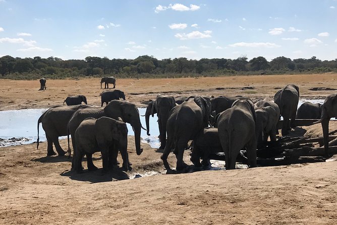 Five-Day Hwange NP, Chobe NP and Victoria Falls Combo - Key Highlights Worth Booking For