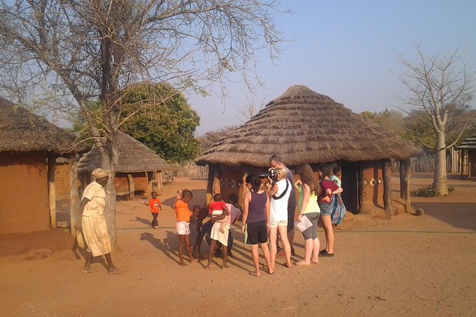 Five-Day Hwange NP, Chobe NP and Victoria Falls Combo - Day 1 in Hwange: First Game Drive From the Lodge Estate