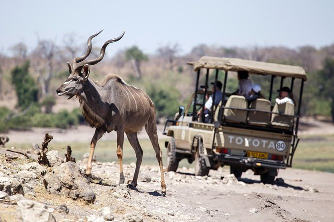 Five-Day Hwange NP, Chobe NP and Victoria Falls Combo - Day 5 Victoria Falls and Departure Flexibility