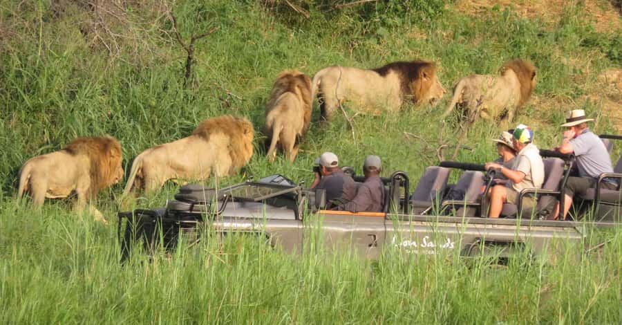 From Kasane: Chobe National Park Full Day Wildlife Safari - Key things to know before you go