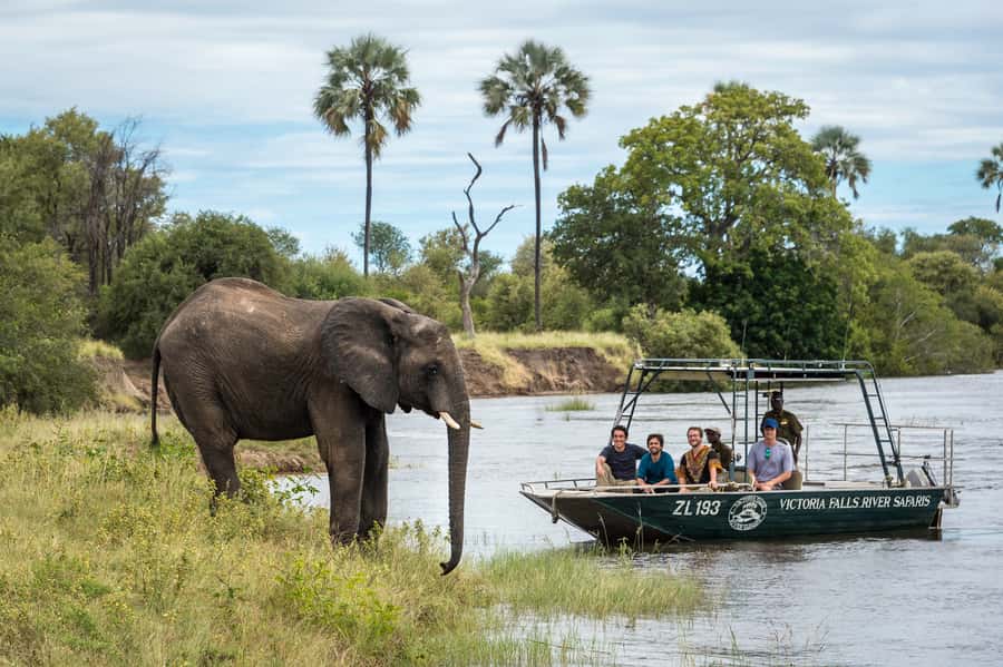 From Livingstone: Victoria Falls River Safari - Food, drinks, and the island picnic factor
