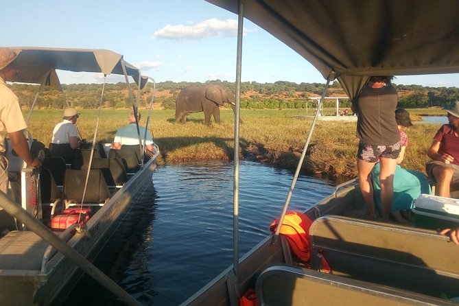 From Victoria Falls: Chobe National Park Small Group Tour - Price and Park Fees: What $120 Really Buys You