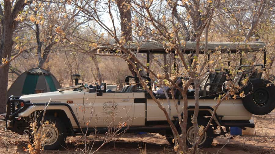 From Victoria Falls: Sunrise to Sunset Chobe Safari - Why Chobe at Sunrise Changes Your Chances