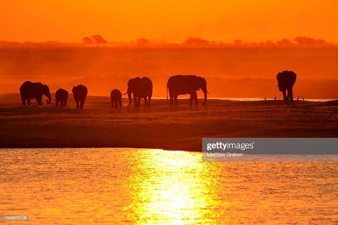 Full Day Chobe National Park Big 5 Safari - Why Chobe From Victoria Falls Makes Sense