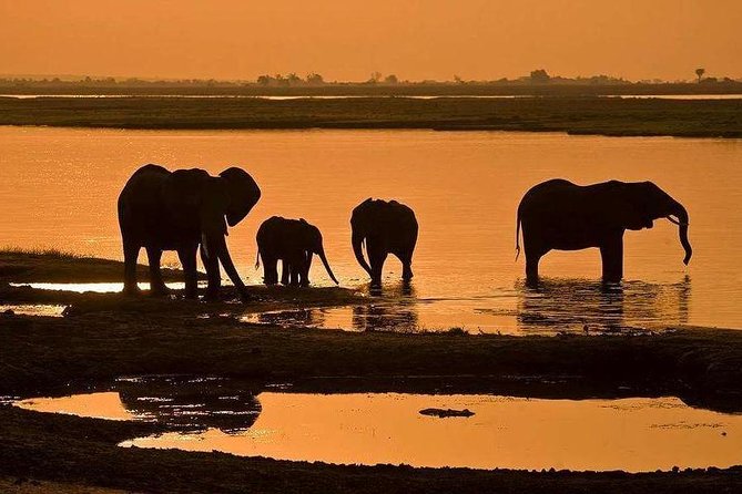 Full Day Chobe National Park Big 5 Safari - River First, Then Road: How the Day Usually Flows