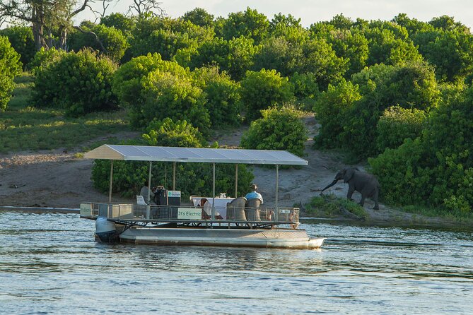 Full-Day Safari Chobe National Park and boat safari - Key highlights you should care about