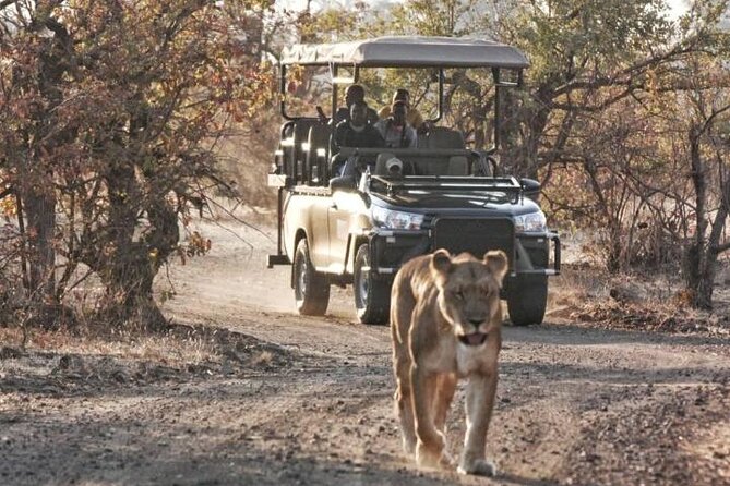 Full-Day Zimbabwe Zambezi National Park Safari & Lunch - Your wildlife odds are tied to timing, not luck