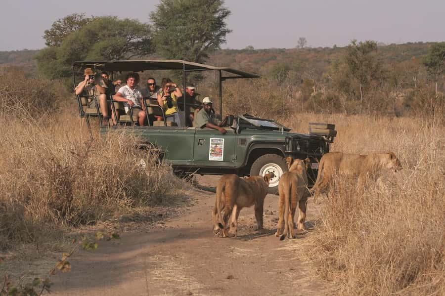 Game drive in Victoria Falls - Your guide makes or breaks the drive: what to look for and what to ask