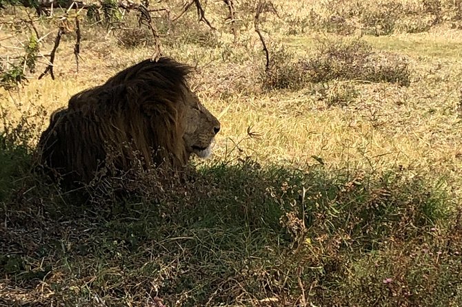 Game Drive in Zambezi National Park Morning or Afternoon - Getting the most from your guide, with the kind of skills you want to see