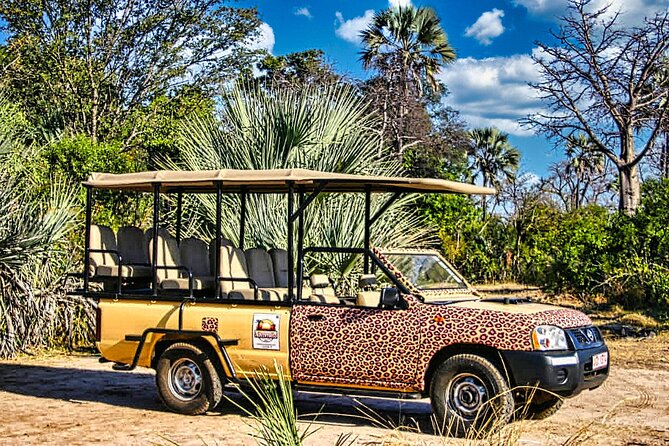 Guided 4x4 Town Safari in Victoria Falls - Why this Victoria Falls town safari is such a smart first move