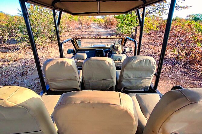 Guided 4x4 Town Safari in Victoria Falls - Best time to do it during your stay