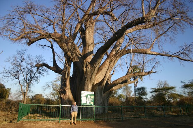 Guided 4x4 Town Safari in Victoria Falls - What this tour is best for (and who might skip it)