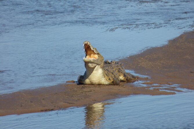 Guided Falls Tour & Zambezi River Cruise Combo - Weather can make or break your plan