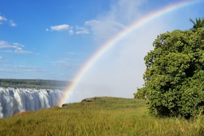 Guided Falls Tour & Zambezi River Cruise Combo - The Zambezi sunset cruise: wildlife chances in golden light